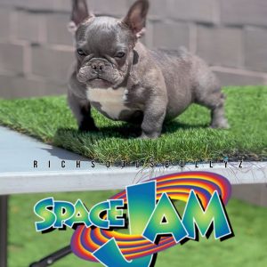 space jam