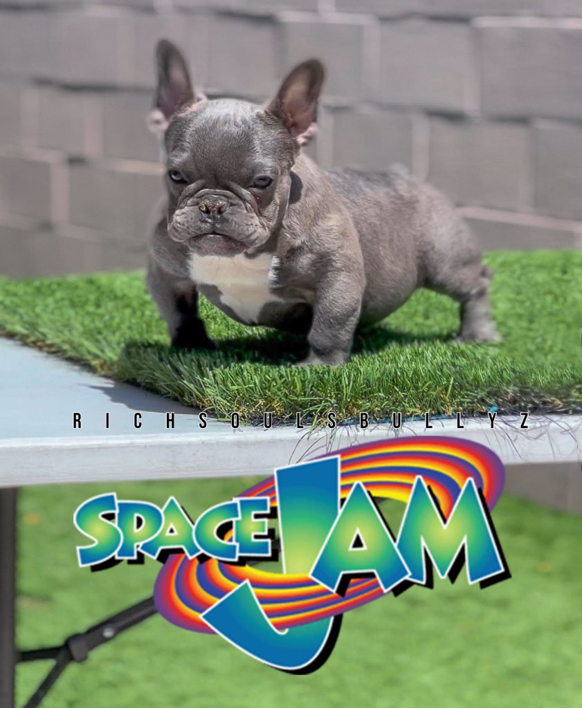 space jam